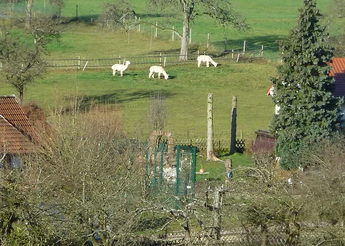 Am Limespfad Apartment *